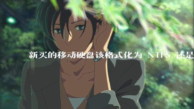 新买的移动硬盘该格式化为 NTFS 还是 exFAT？